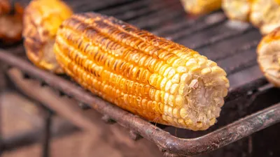 Representação visual de differentes tipos de armazenamento de dados: documentos, grafos e colunas