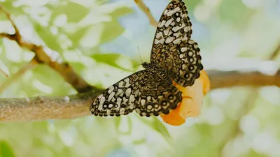 Representação abstrata de inteligência artificial e código